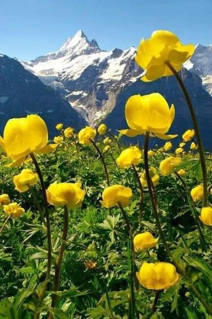Ubaye.Mexico Apartman Barcelonnette Kültér fotó